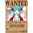 One Piece Wanted Poster Canvas Painting Print Picture Wall Art Bounty Anime Wall Bedroom Mural Luffy Zoro  Living Home Decor